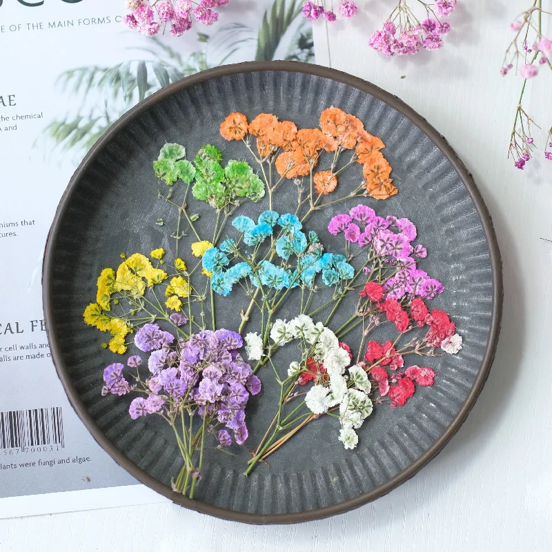 6-8cm/12pcs,New color babysbreath dry flower,pressed flora DIY bookmark drip glue table lamps nail art beauty cosmetics material