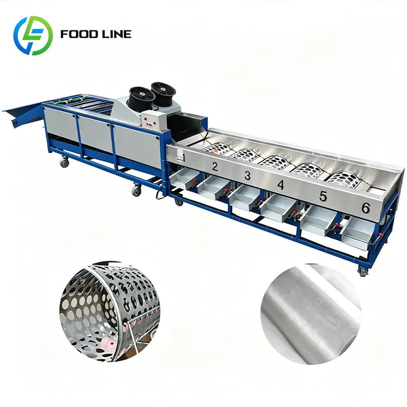 Fruit Grading Machine Vegetable Sorter Produce Grader for Round Fruits Tomato Onion Potato Lemon Customized