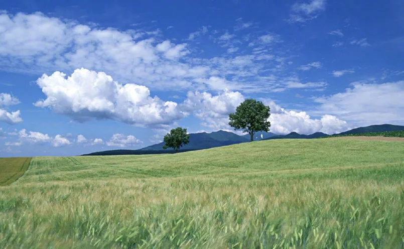 

MATEK 2025 Новый CAN-L431 AP_Periph CAN Node DroneCAN L431 (26x26 мм) для ArduPilot: GNSS, компас, барометр и датчик скорости воздуха