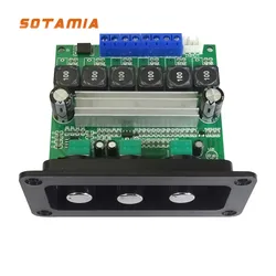 SOTAMIA-placa amplificadora de potencia TPA3116D2, Amplificador de sonido con Panel, Subwoofer 2,1, 2x50W + 100W