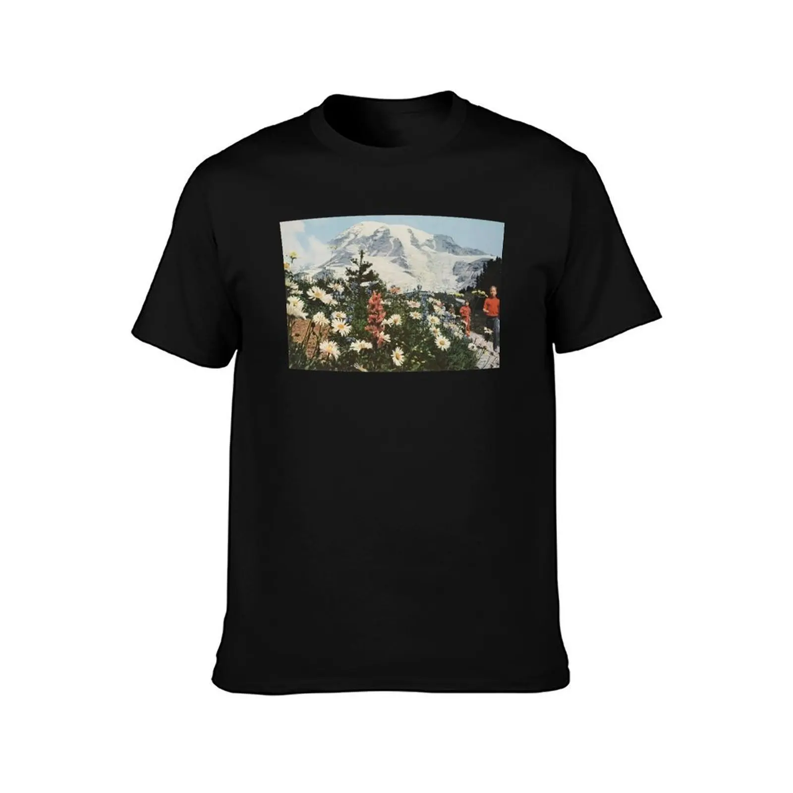 their satanic majesties second request T-Shirt Basic Short Sleeve for Men T-Shirt
