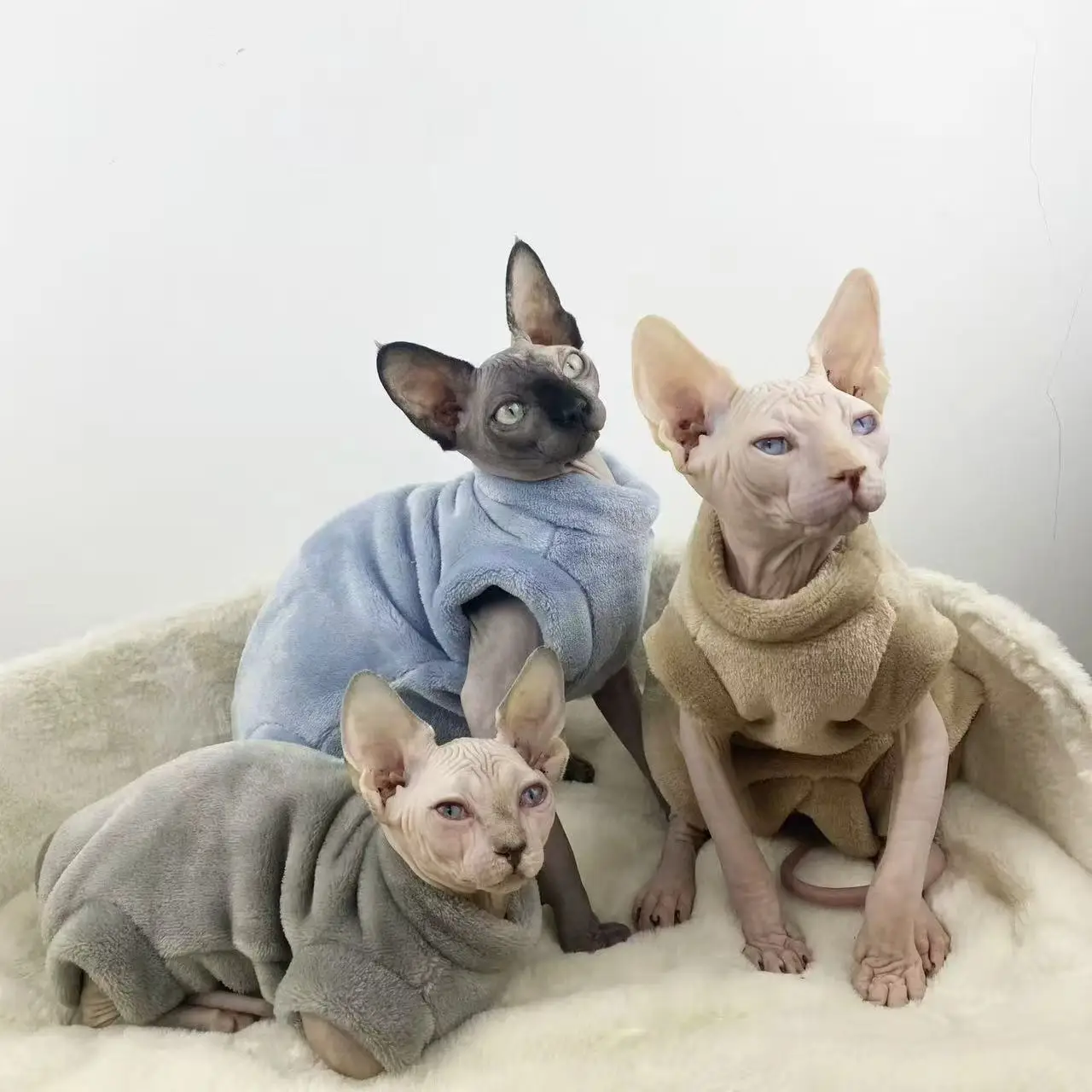 Winter solid color cat thermal pullover four-legged base layer, highly elastic, available in three colors, warm and comfortable,