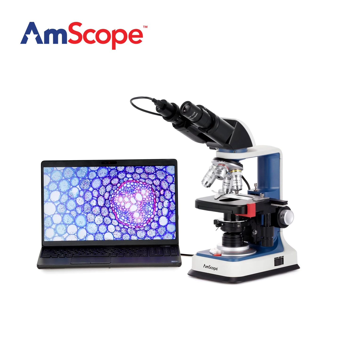 AmScope 40X-2500X Magnificati - Microscope Compound 40X ulasan dan harga