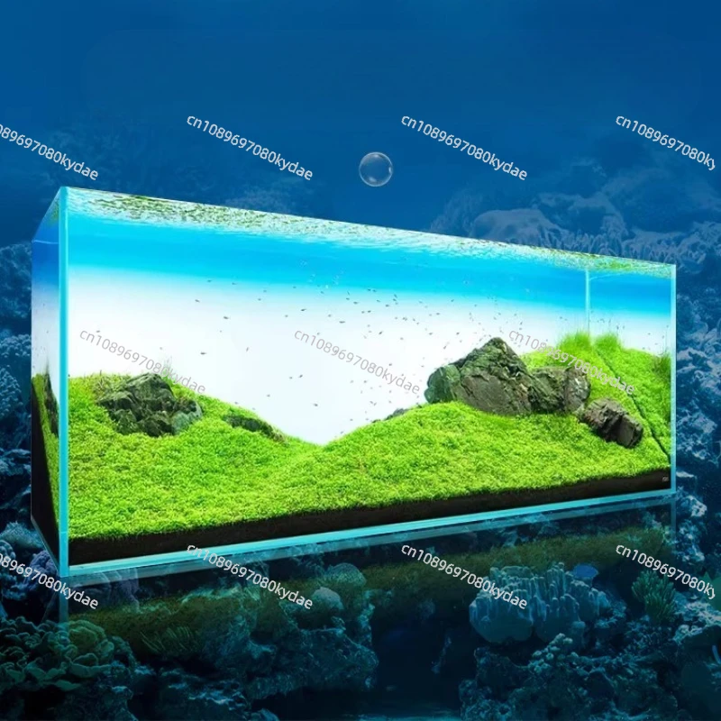 Fish Tank Background Board LED - Aquarium Fish Rainbow review and price