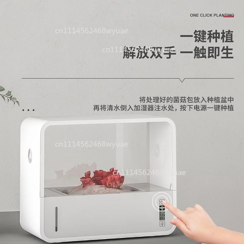 Mushroom Eco-Box English Edition Smart Mushroom Grower Shiitake Cultivation Machine Automatic Humidification Growing Cabinet