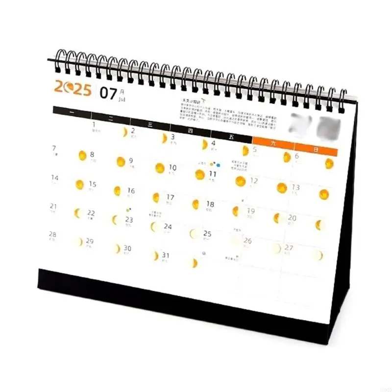 2025 NOUVEAU CALENDRIE CAZING 2025 STAR combinant l'art les fonctionnalités avec une disposition date claire adaptée