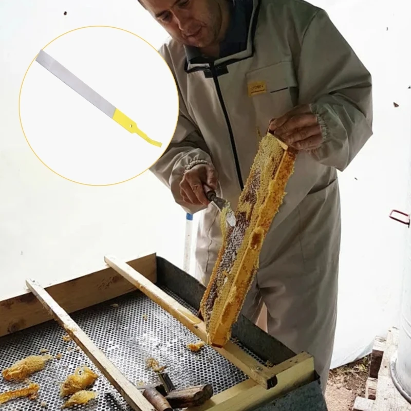 Raschietti per arnie in acciaio inossidabile Utensili per Alveari Utensili manuali Attrezzatura per apicoltura