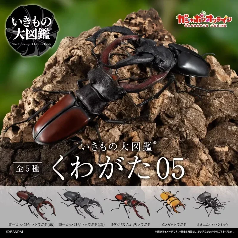 BANDAI Japan Gashapon Figure Anime Cute Assembled Beetle Model 08 Artificial Insect Kawaii Capsule Toys Figurine Gift