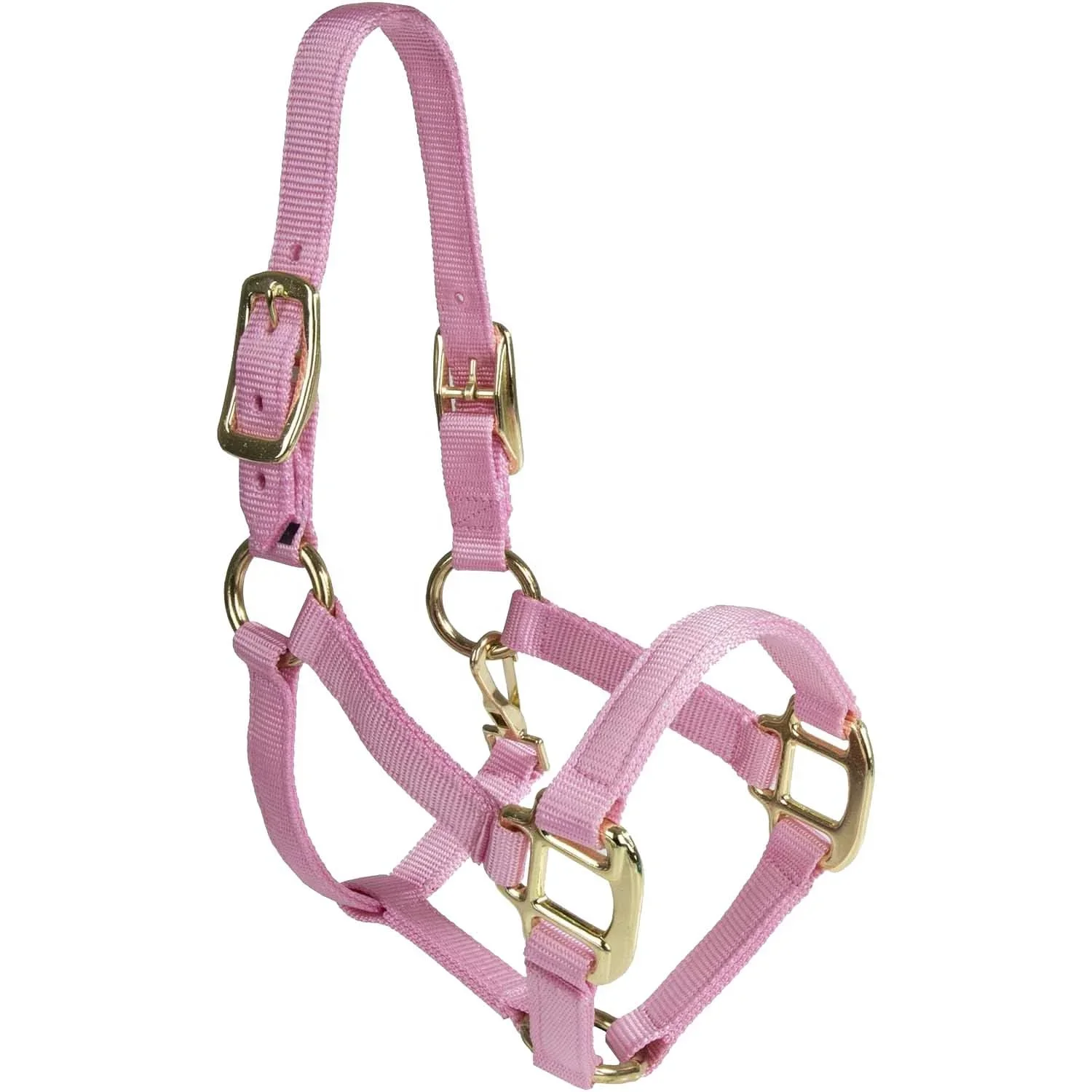 Nylon Miniature Horse Halter