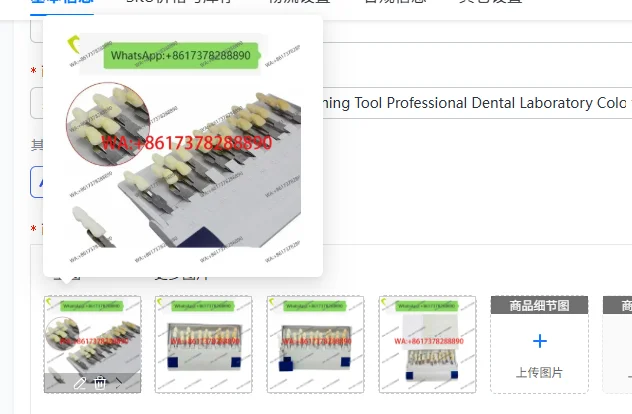 Shade Guide 29 Color Teeth Whitening Tool Professional Dental Laboratory Color Matching Aids for Beauty Supplies