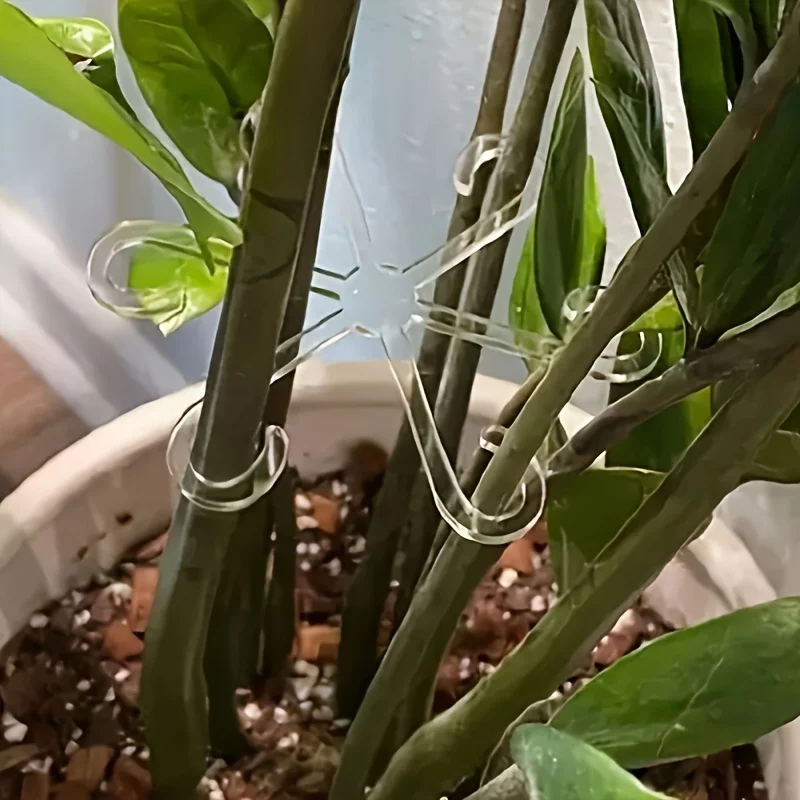 مشابك دعم جذع النباتات، إطار تجميع جذع الزهور، مثبت الدعم - مضاد للسرقة، رف وعاء تثبيت فرع المائية، الحديقة