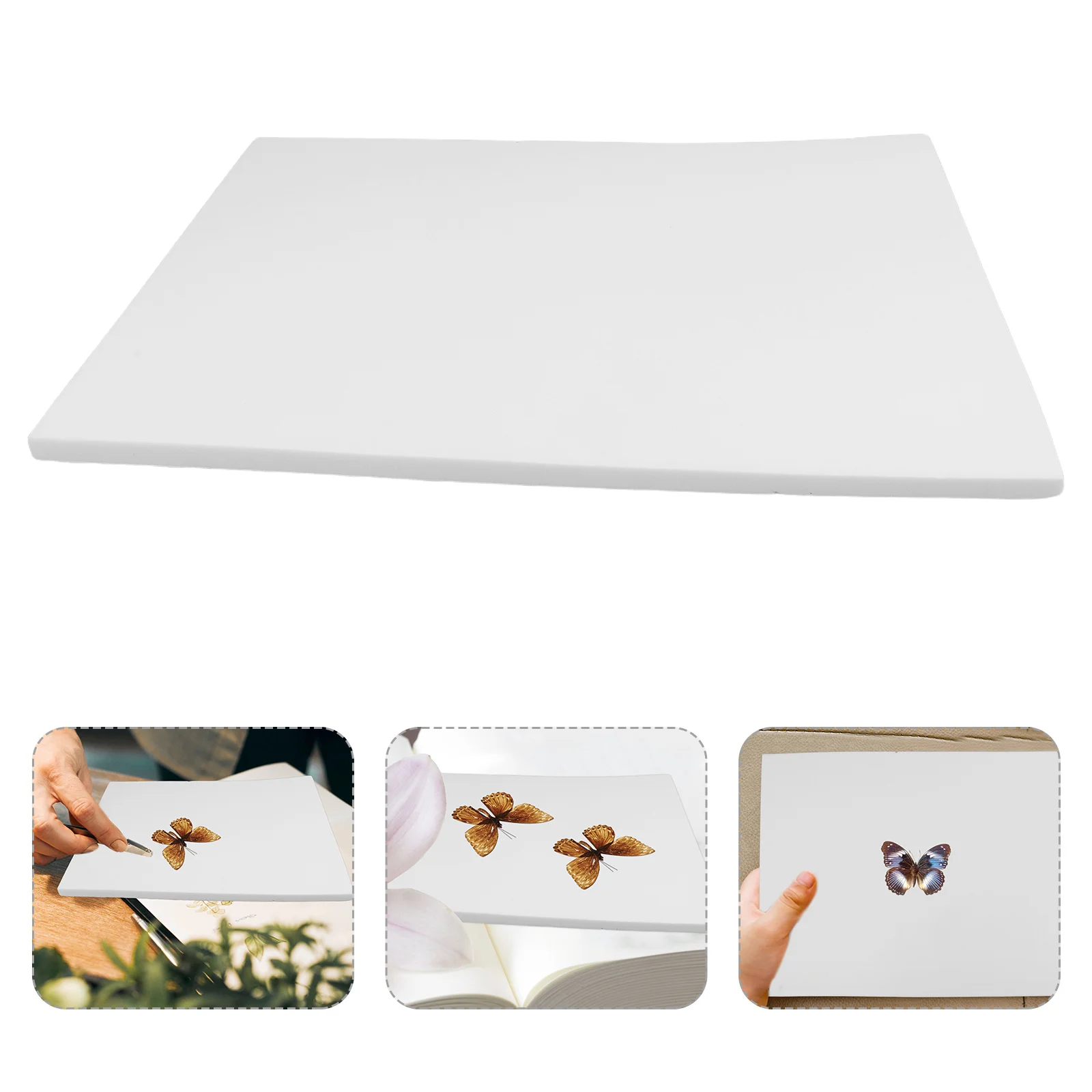 

Insect Specimen Display Board Eva Foam Butterfly Wings Spreading Board for Collectors and Hobbyists Butterfly Pinning Plate