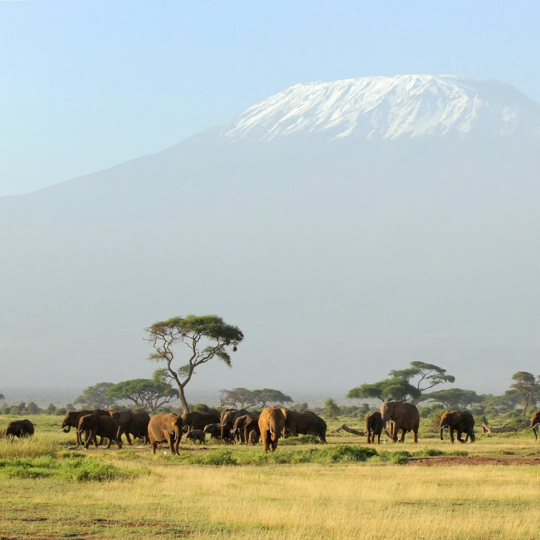 

Для Mercedes-Benz Vito 2024-2025 14,9 дюймов Android 14 CarPlay автомобильный радиоприемник с сенсорным экраном мультимедийный плеер GPS-навигация головное устройство
