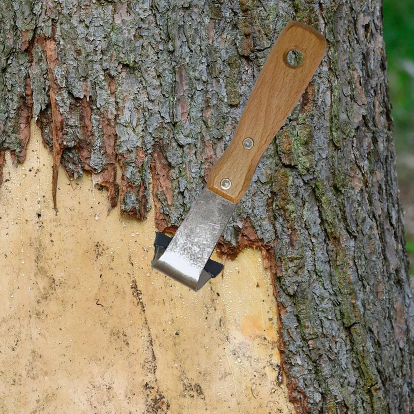Barks Scraper Shovel Wood Tool Reliable Iron Wood Construction Versatile Bark Remover for Garden and Landscaping Use