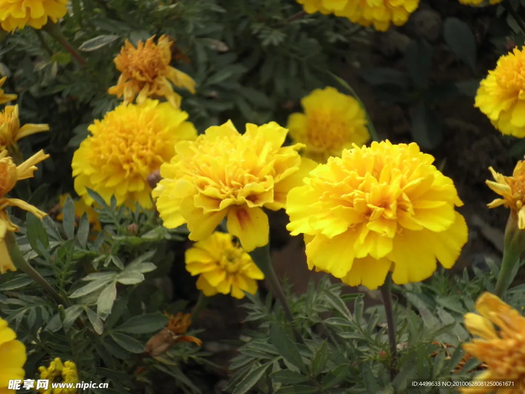 

FOR SCX30 Maintenance Tool Kit Cross Screwdriver Socket M2 Nut Bronco Wrangler