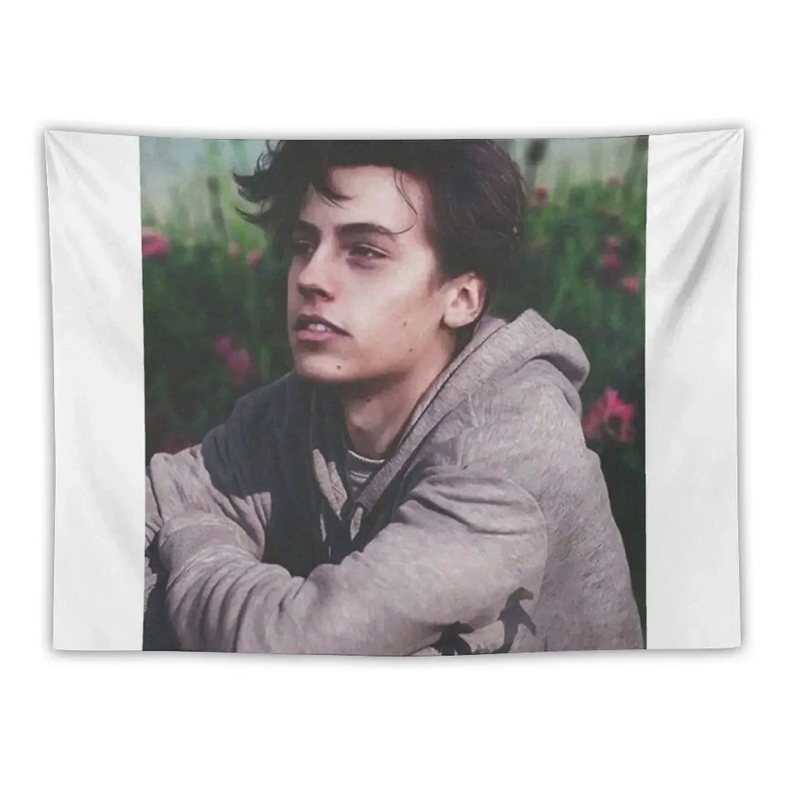 Cole Sprouse Tapestry Outdoor Decoration Aesthetic Decoration Tapestry