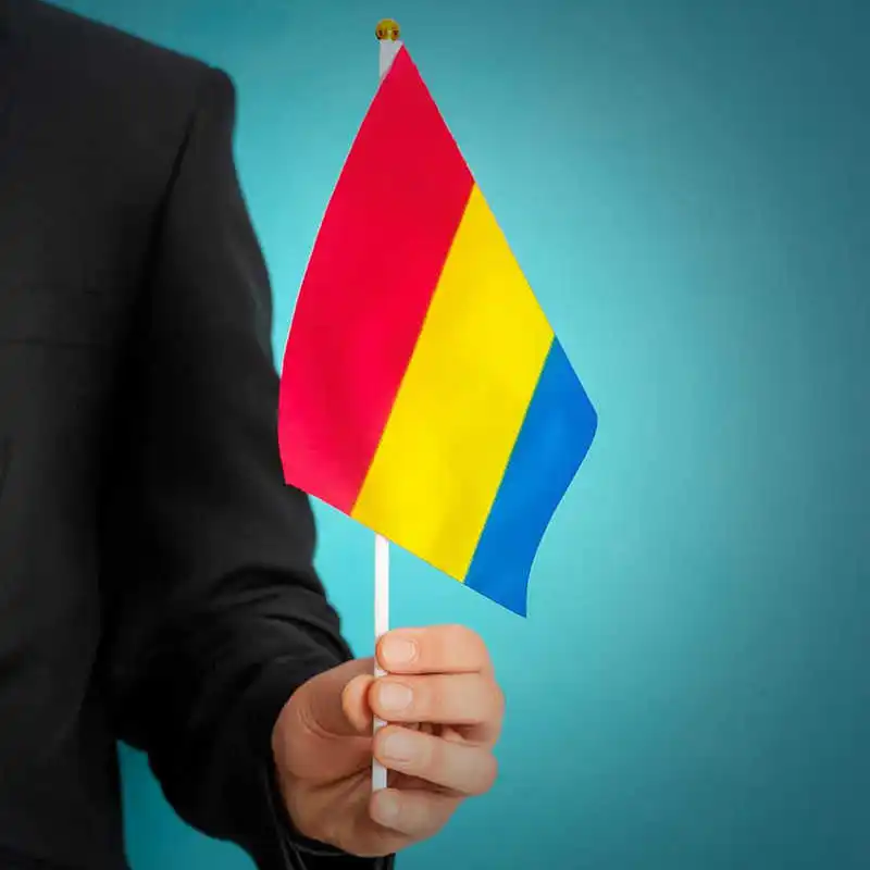 

10PCS Handheld Pansexual Flag 14x21cm Mini Stick Pansexuality Omnisexuality Flags With Plastic Flagpoles For Decoration