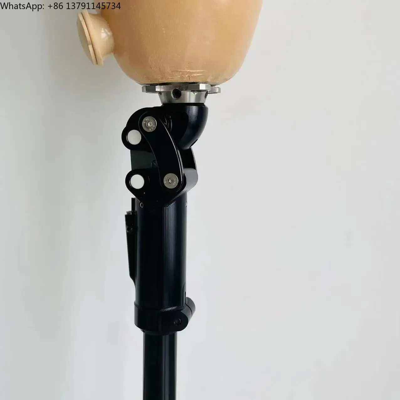 

Pneumatic knee prostheses Implanted legs Prosthetic legs for amputation prostheses
