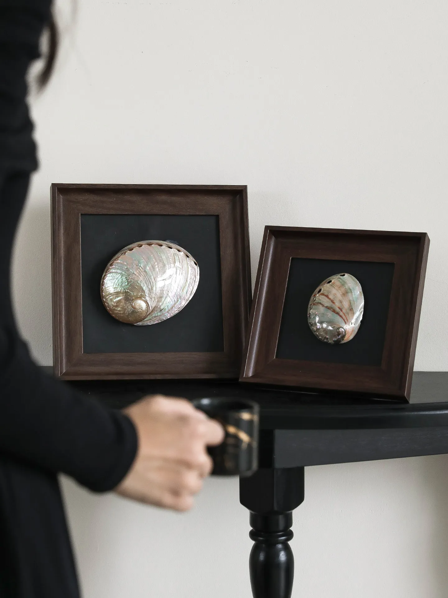 Handcrafted Natural Conch & Seashell Framed Display Art, Mid‑Century Modern Desktop Home Decor Ornament