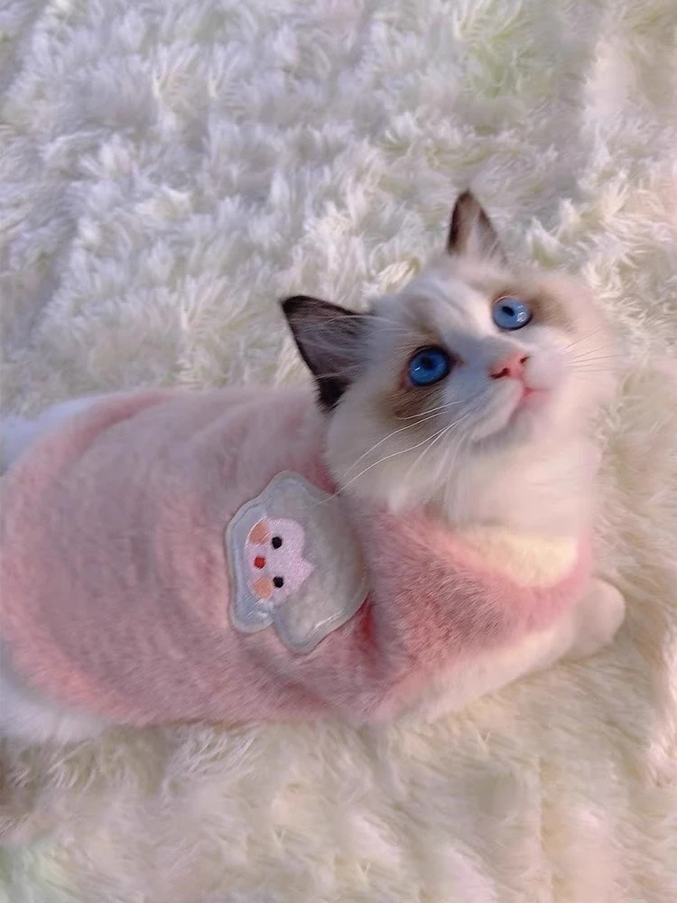 Cat Clothes Autumn and Winter Ragdoll Cat Thermal Vest Flannel Pet Dog Dog Clothes Kitten Cat Kitten Anti-hair Loss