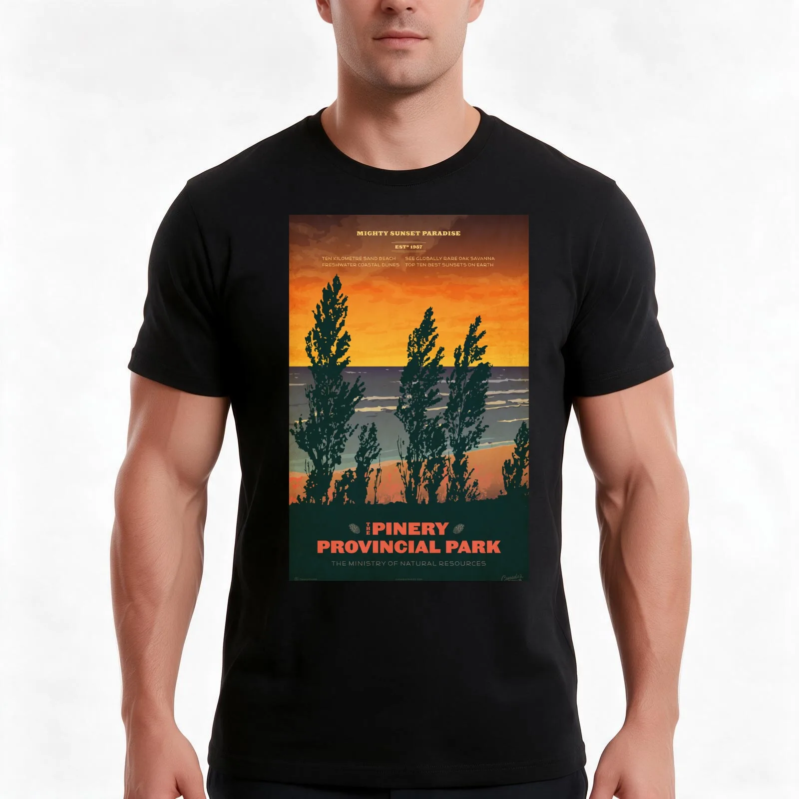 The Pinery Provincial Park T-Shirt, Summer Casual Cotton Tee, Oversized Streetwear Tops, Vintage Graphic Print, Unisex Men Women