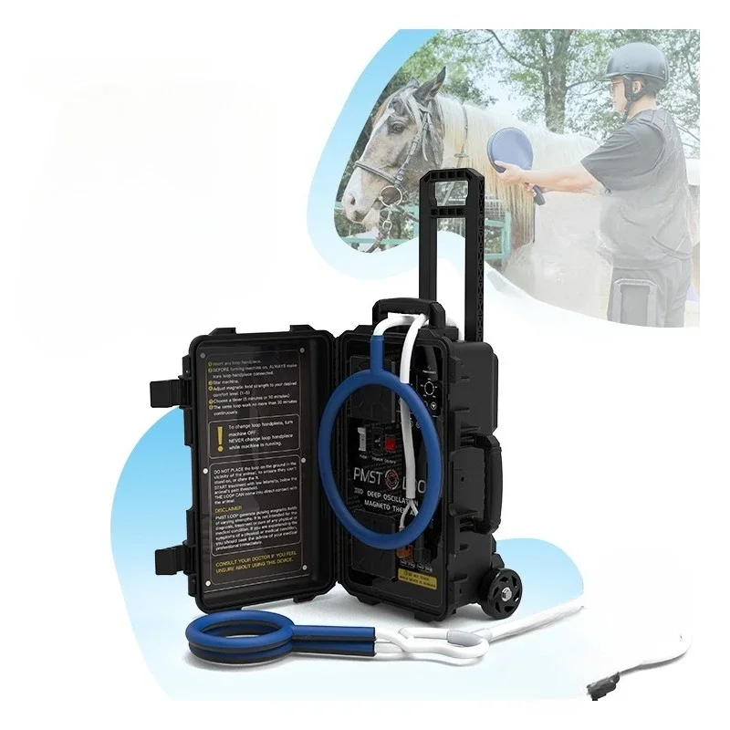 Magnetic therapy device, equine ankle rehabilitation equipment