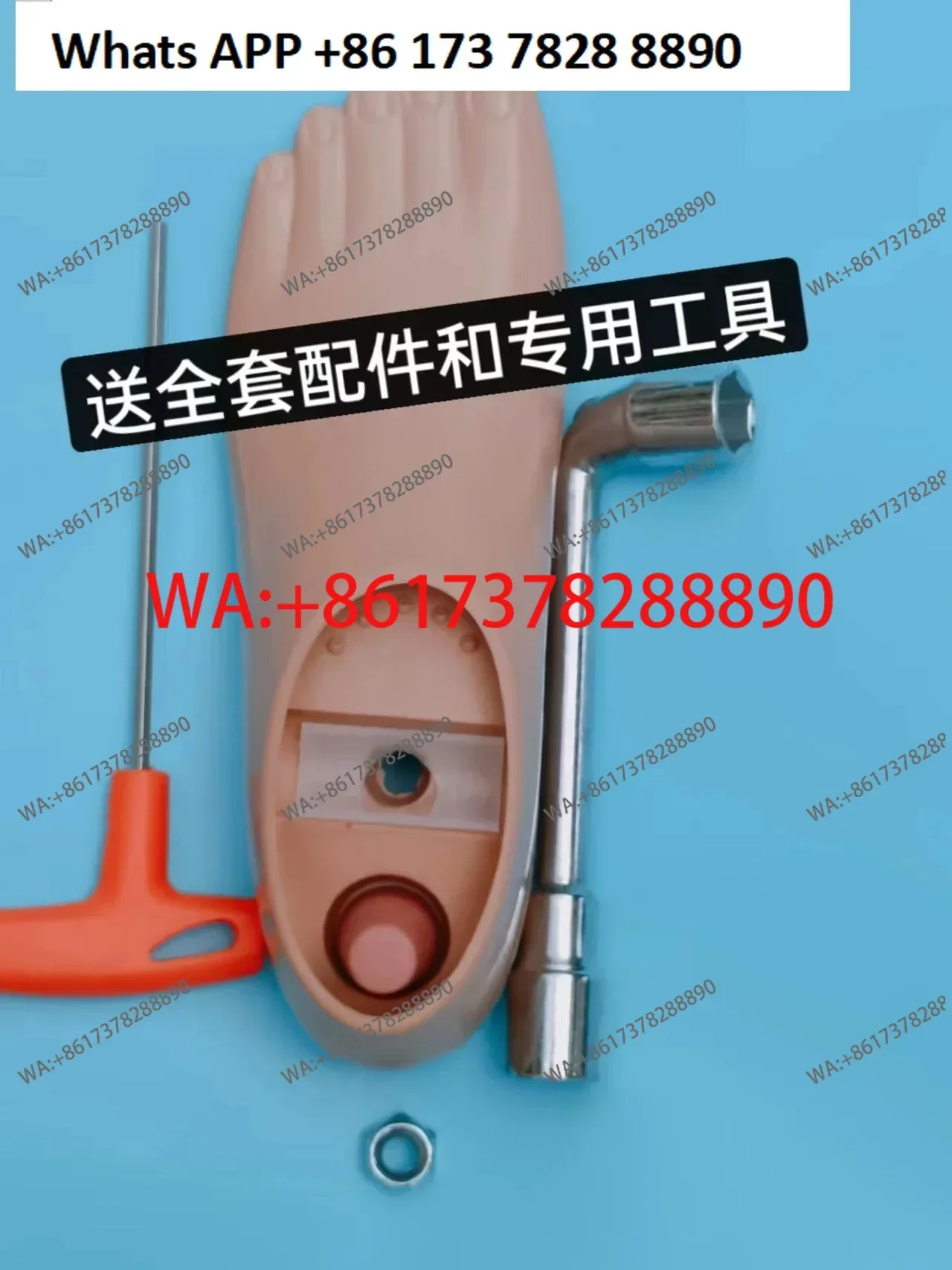 Prosthetic Foot Plate Leg Single Hole Movable Ankle Foot Size Calf Double Hole Prosthetic Limb Accessories