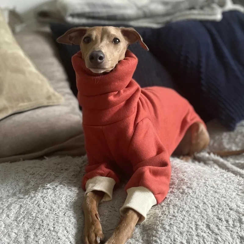 Rote Winterkleidung für Whippet-Hunde, weicher 2-beiniger Feiertagsmantel für italienische Little Greyhound Bedlington Loungewear im Herbst – Detail 5