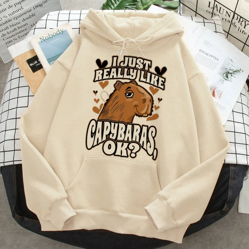 Capybara hoodies men graphic y2k aesthetic 2022 Ulzzang male clothing hip hop harajuku