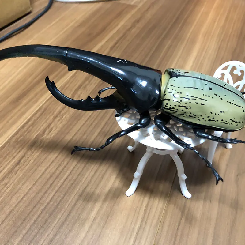 New SO-TA Gashapon Figure Anime Cute 1/1 Artificial Insect Japanese Rhinoceros Beetle Kawaii ornamen Figurine Capsule Toys Gifts