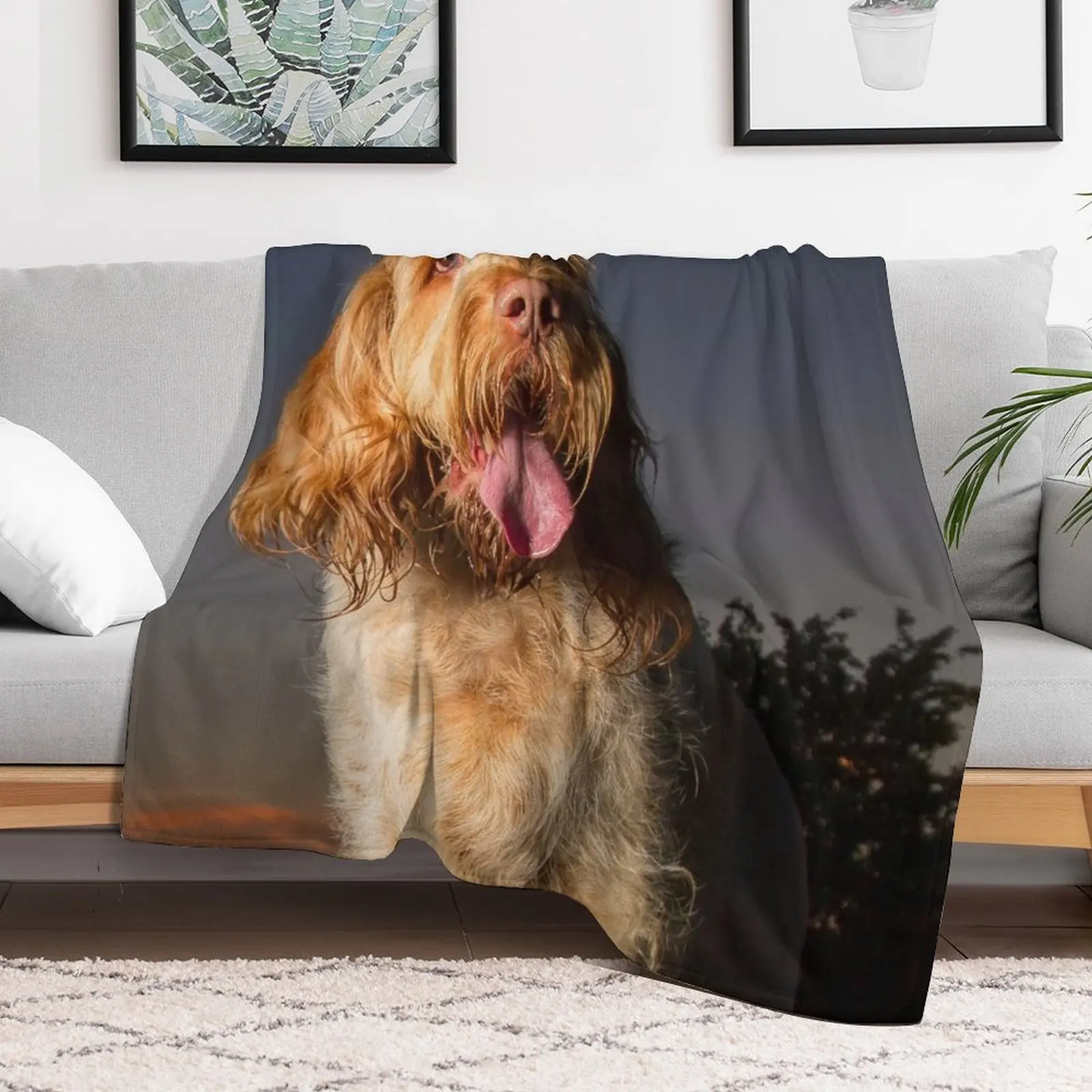 Standing on a seat at sunset Spinone Throw Blanket Warm Comfortable Blanket Gift for Parents Friends