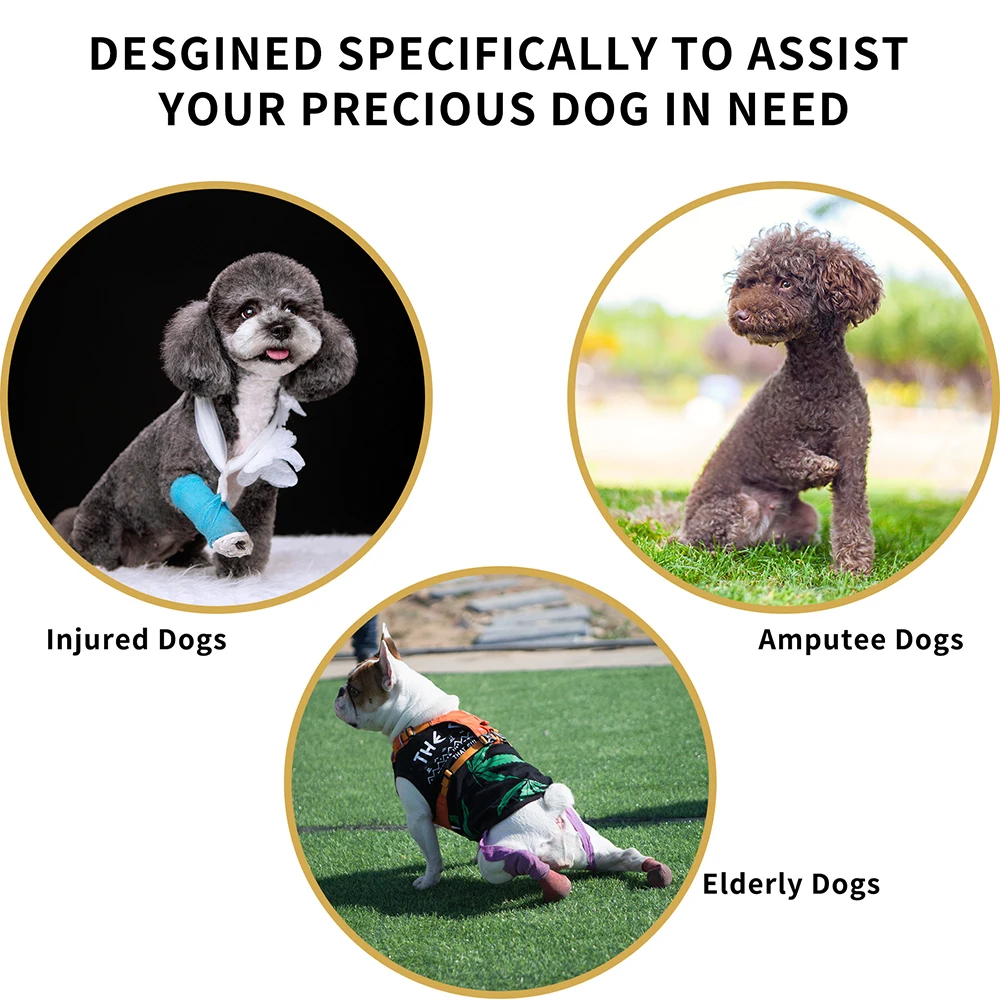 Hochwertige Haustier-Hilfskleidung für ältere Hunde mit Behinderungen, Spaziergänge, Rehabilitationsanzug, Hunde-Übungsunterstützungsgürtel – Detail 4