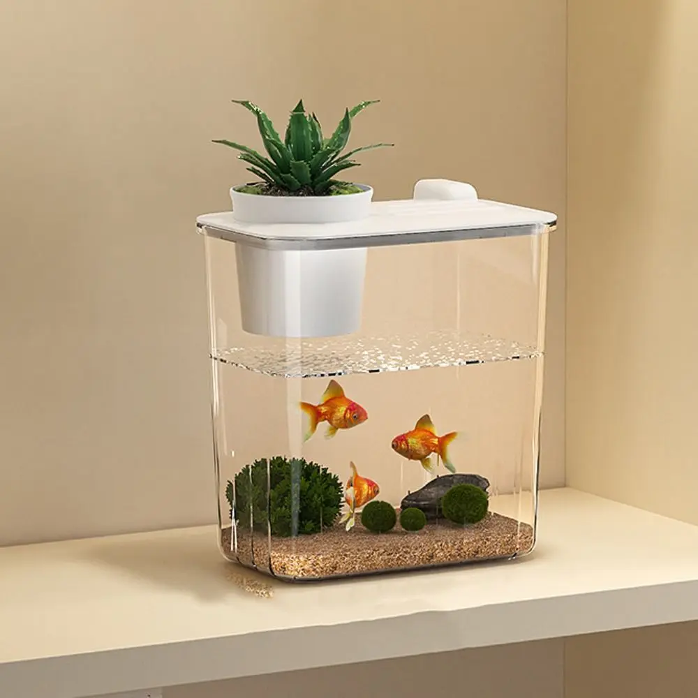 Transparent Betta Fish Viewing Box Removable with Cover Tabletop Fish Tank Plastic Goldfish Bowl Hydroponic Planter Fish Tank