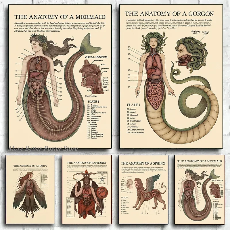 Vintage The Anatomy Of Mermaid Harpy Gorgon Poster Print Canvas Painting Mysterious Creature Wall Art Room Home Decor Cuadros