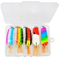 LP18 5PCS 12345