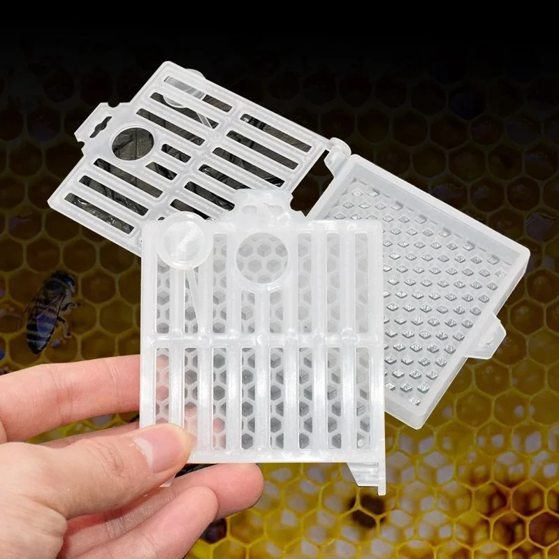 New Design PP Queen Bee Post Cage Transparent Move Transmit Mail Box Insect House Farm Use Plastic Rearing Tools Beekeeping