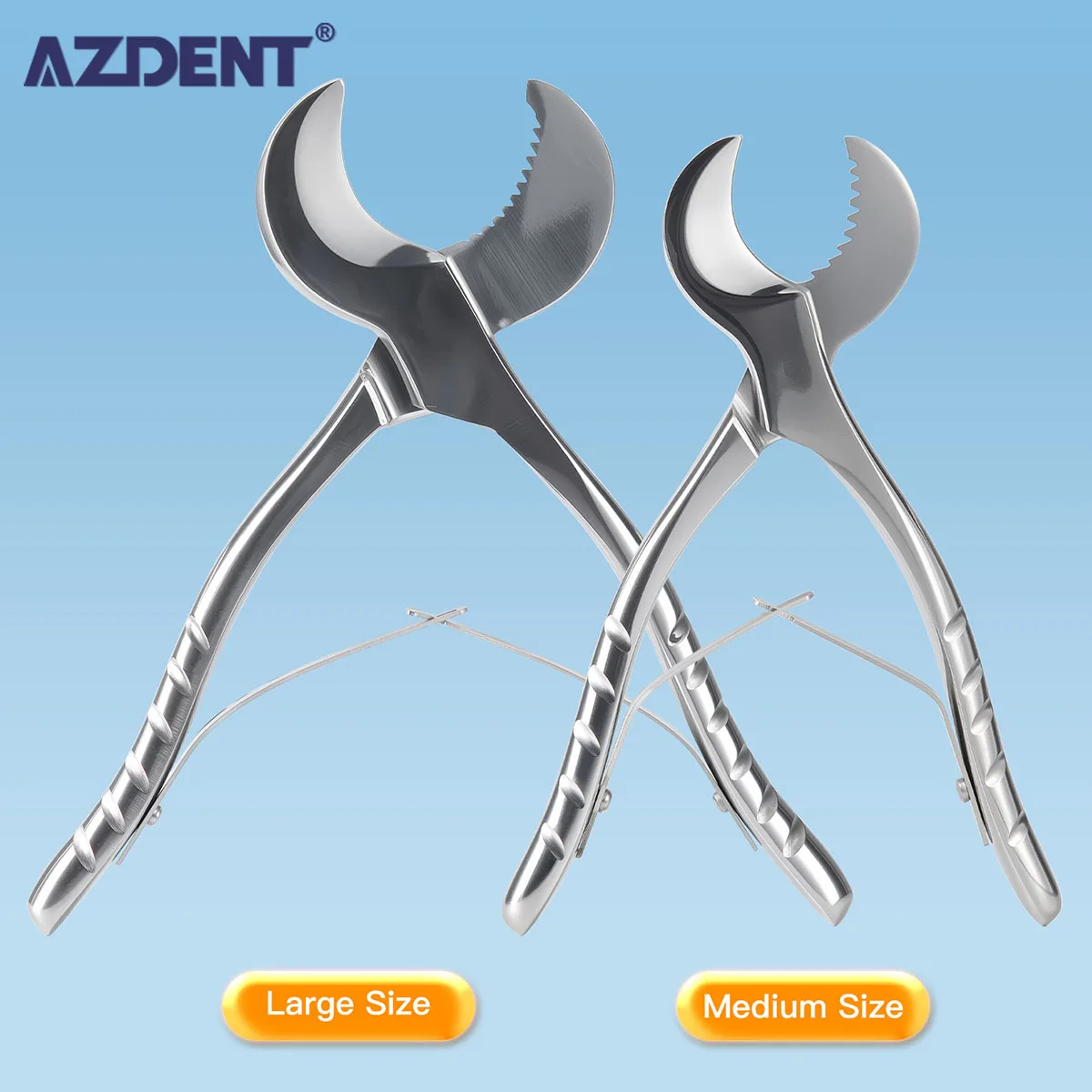 

AZDENT Dental Plaster Shears Scissiors Medium/Large Stainless Steel Forceps Instrument Gypsum Plaster Pliers Dentistry Material
