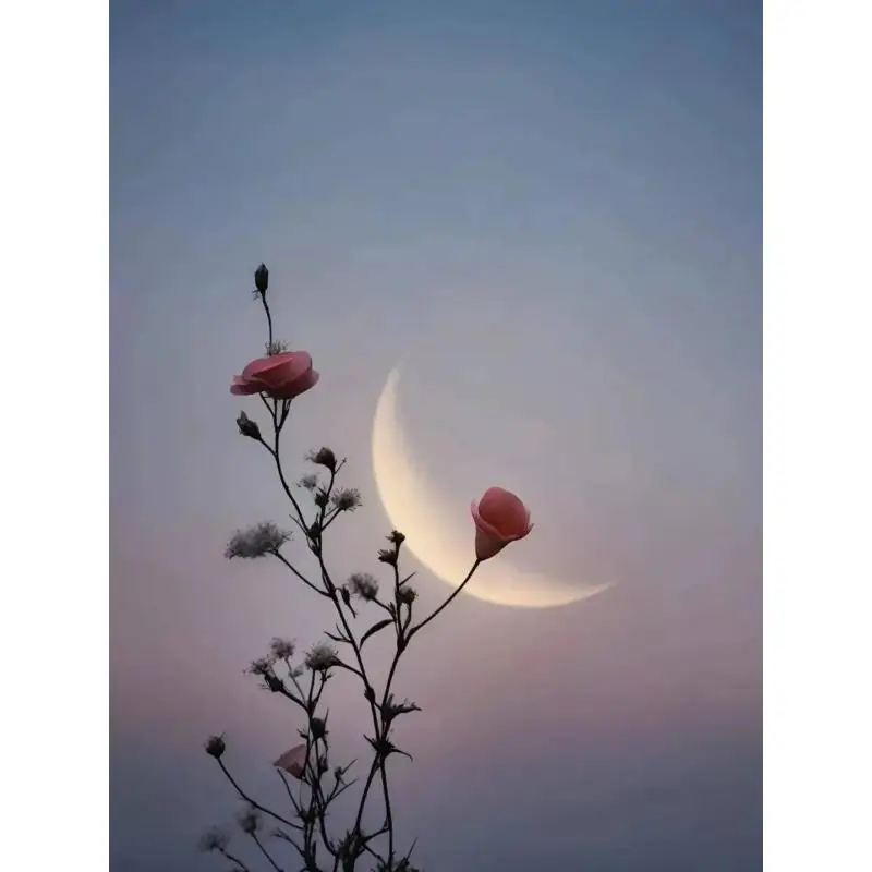 Gaming Mouse 7-Colo…