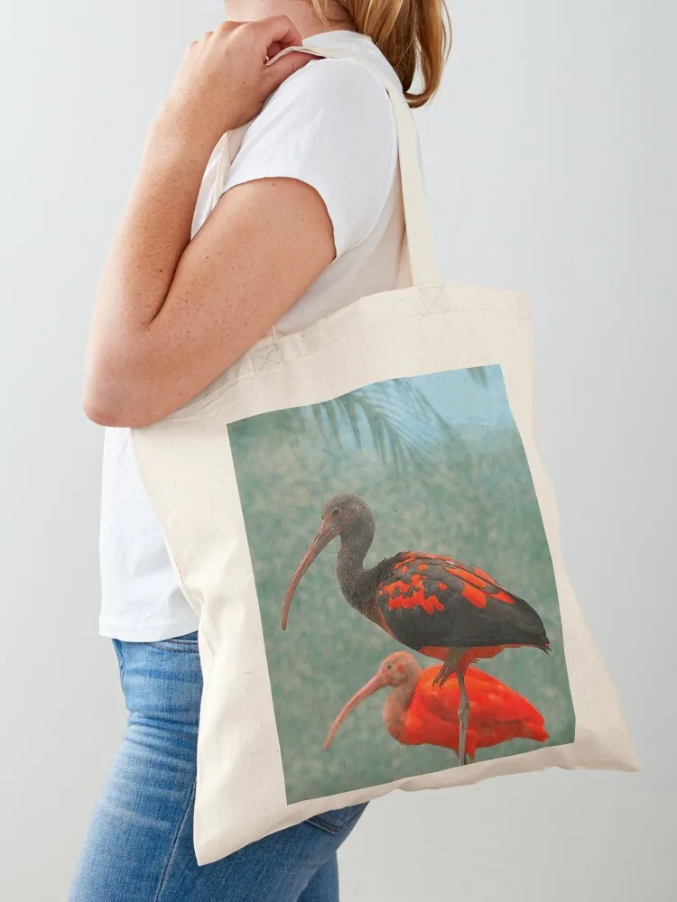 صورة اثنين من إيبيس حمل حقيبة لطيف الحقيبة حقيبة سيدة حقائب كبيرة للنساء نسيج مخصص