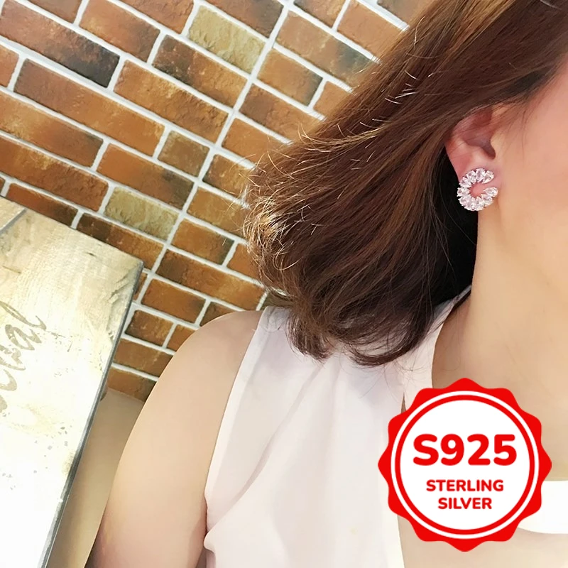 Micro-set Shining S925 Silver Zircon Earrings for Women Simple Personality and Temperament Earrings Versatile Accessories