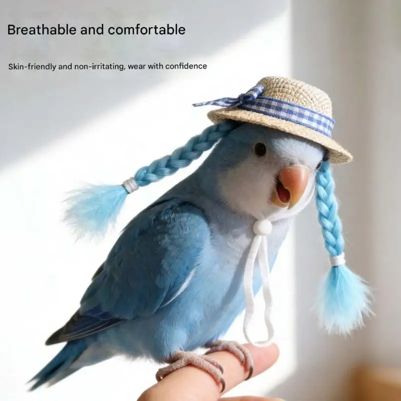 E8BD Bird Long Braids Zoological Gathering Accessory Little Hat For Parrots And Small Animals To Bring Happiness