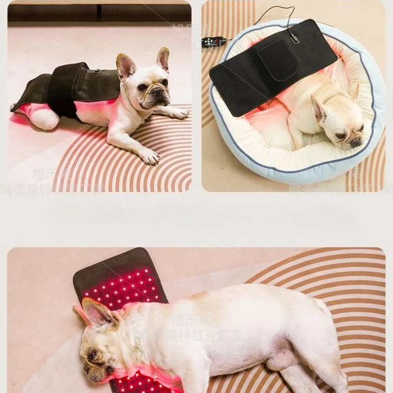 Medical Veterinary Red Light LED Therapy Machine for Professional Animal Pain Management