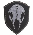 V00620