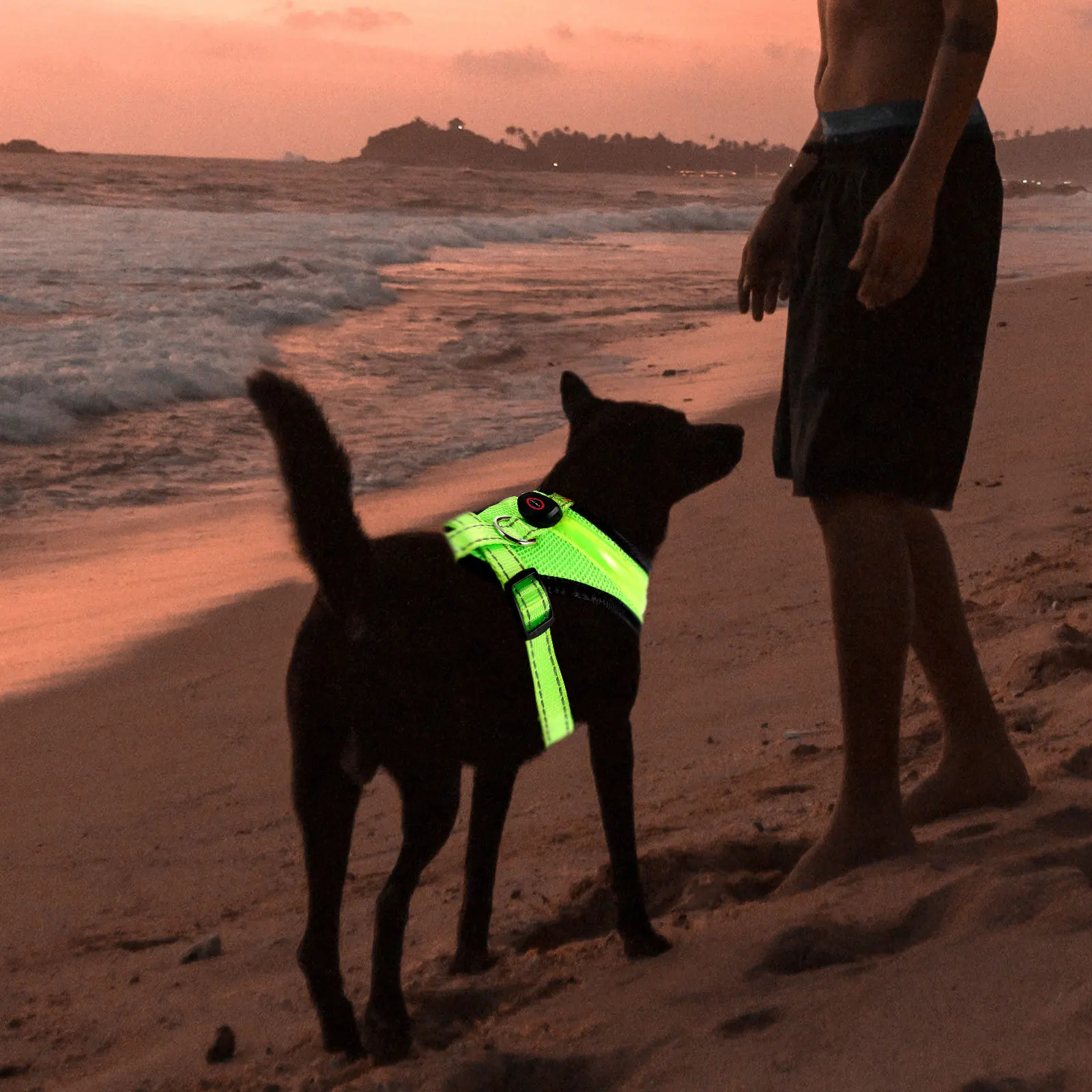 

Vest Dog Camping Supplies Glow LED Harness for Large Breathable Reflective