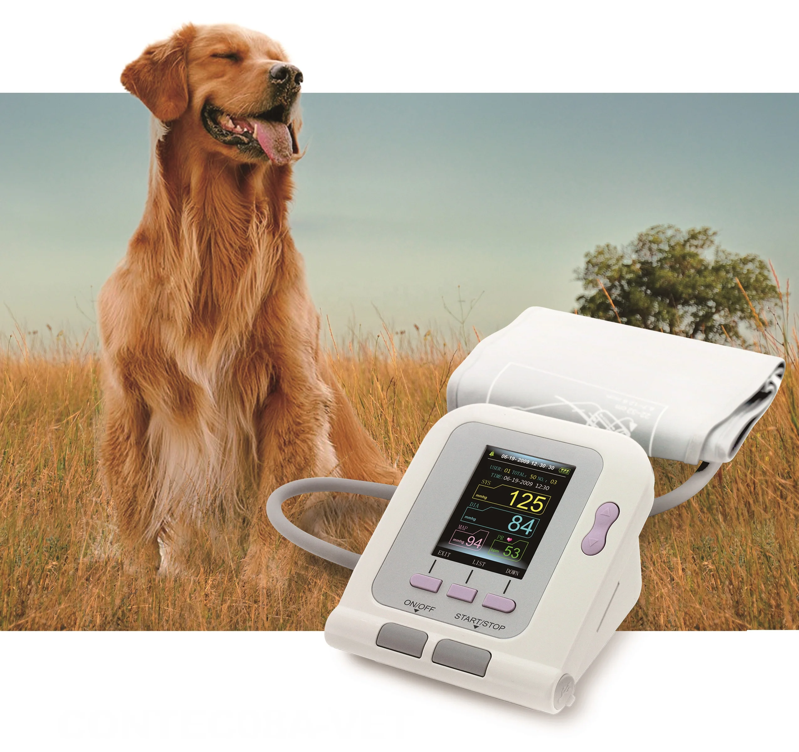 Meditech Digital Electronic Color Display Veterinary B-lood Pressure M-onitor Electric Plastic Spo2 Ce Full Automatic