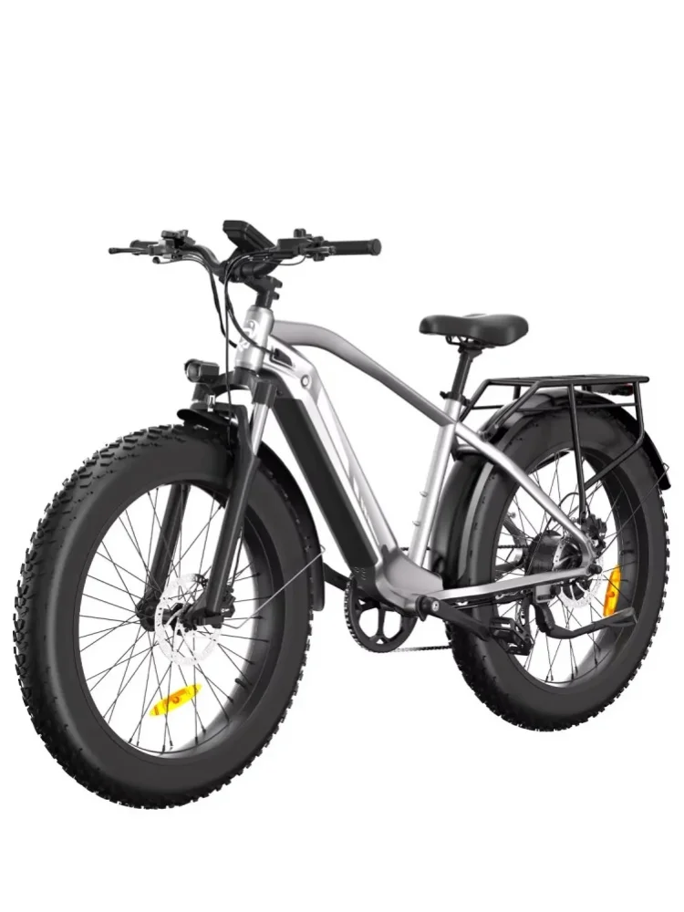 BODYWEL D6 Erwachsenen-Elektrofahrrad 250W Motor 48V 15Ah Akku Elektrofahrrad 20-Zoll-Fatbike Allterrain-Elektrofahrrad