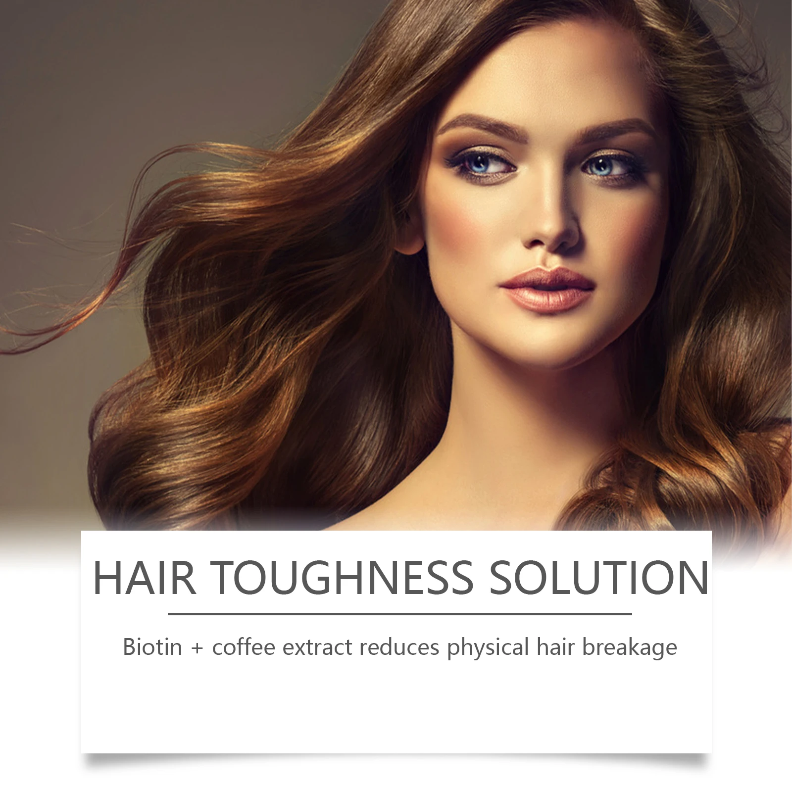 Rosemary Shampoo Repair Dry Fr - Hair Care For Dry And Frizzy Hair ulasan dan harga