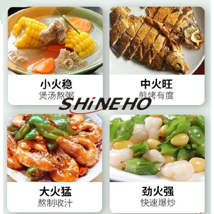 Commercial  Chinese Gas Wok LPG Gas Cooking Range Big Fire Flame burner China Gas Stove