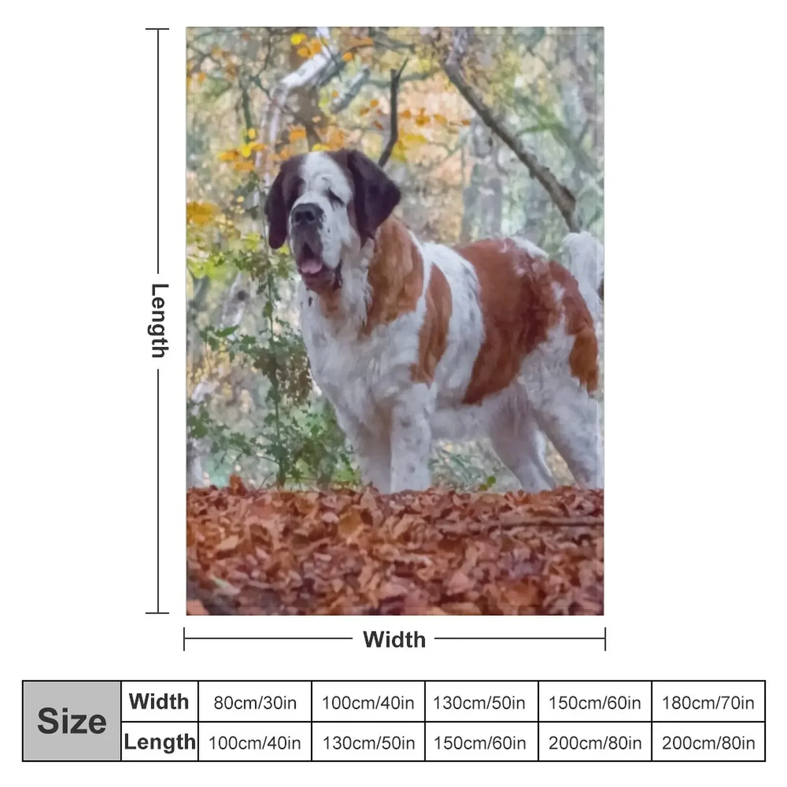 St Bernard dog in Autumn woodland Throw Blanket For Sofa Thin Bed linens manga Sofas Blankets