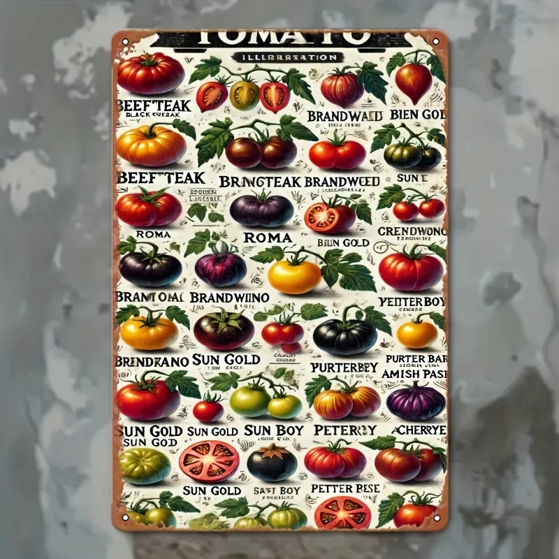 Letrero de metal con ilustración de variedad de tomates vintage, adecuado para el hogar y el bar como decoración rústica de pared, 7,8x11,8 pulgadas